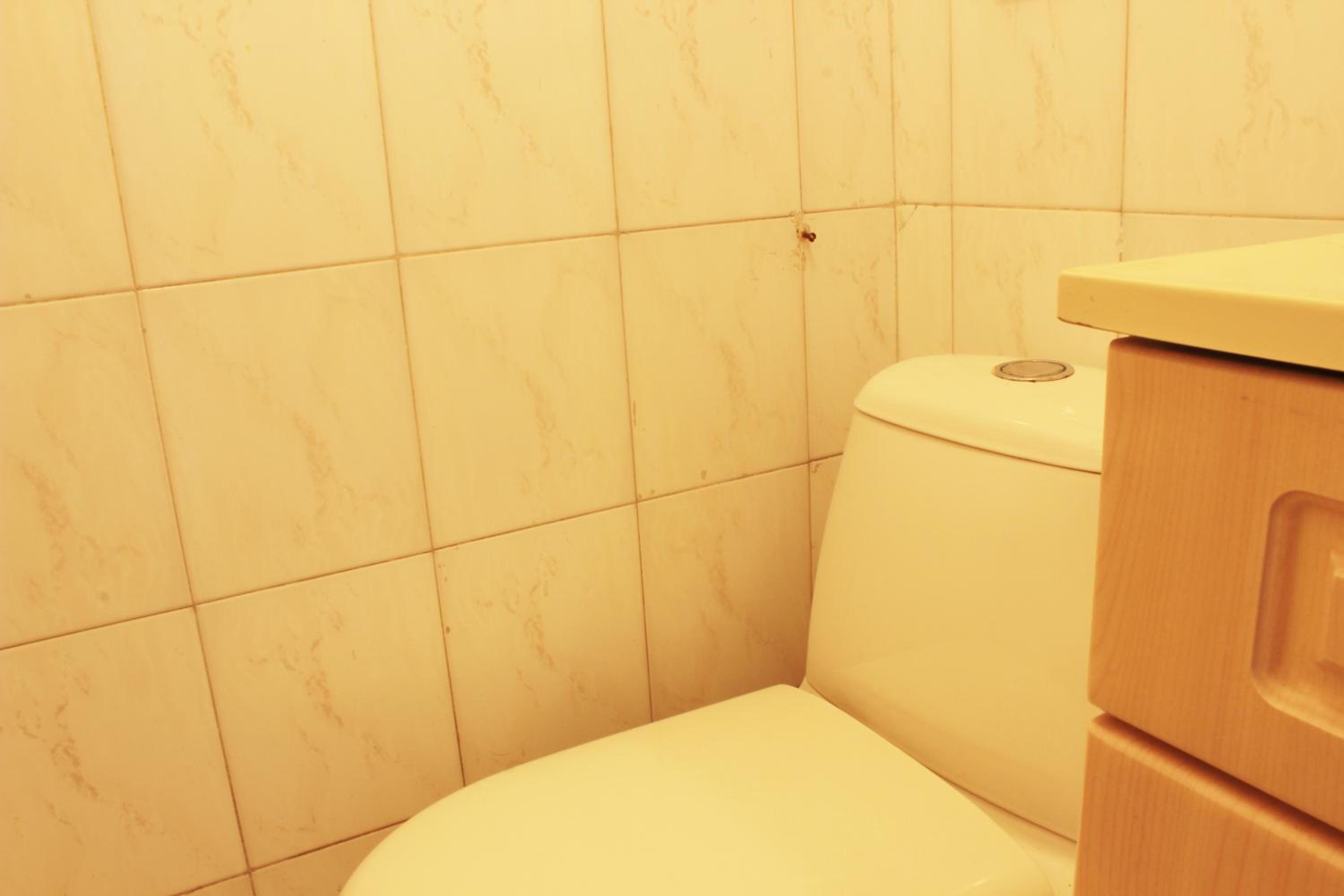 Timeless Oasis Hostel