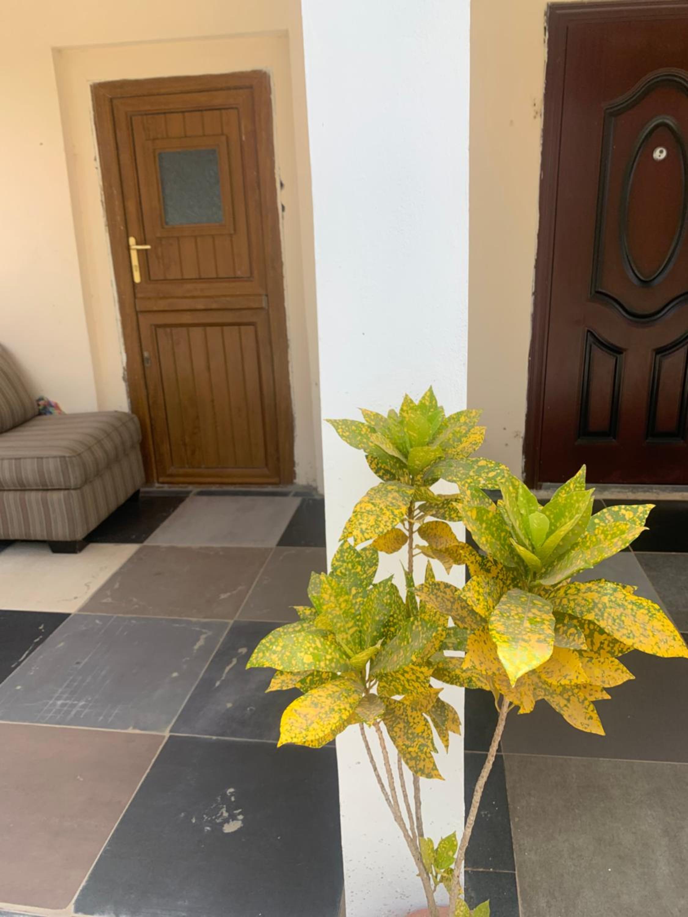 Georgianas Residence Kartong