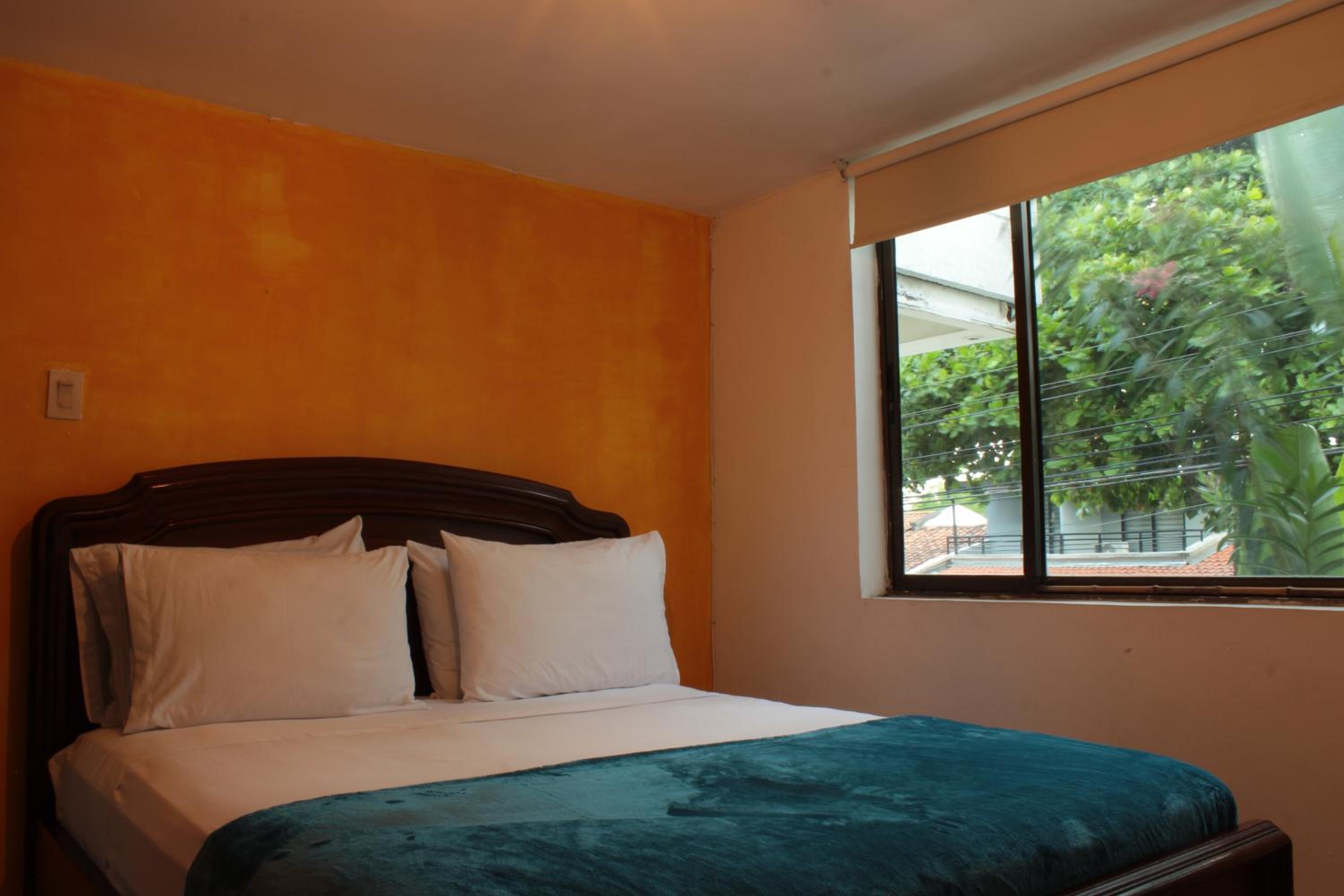 Timeless Oasis Hostel