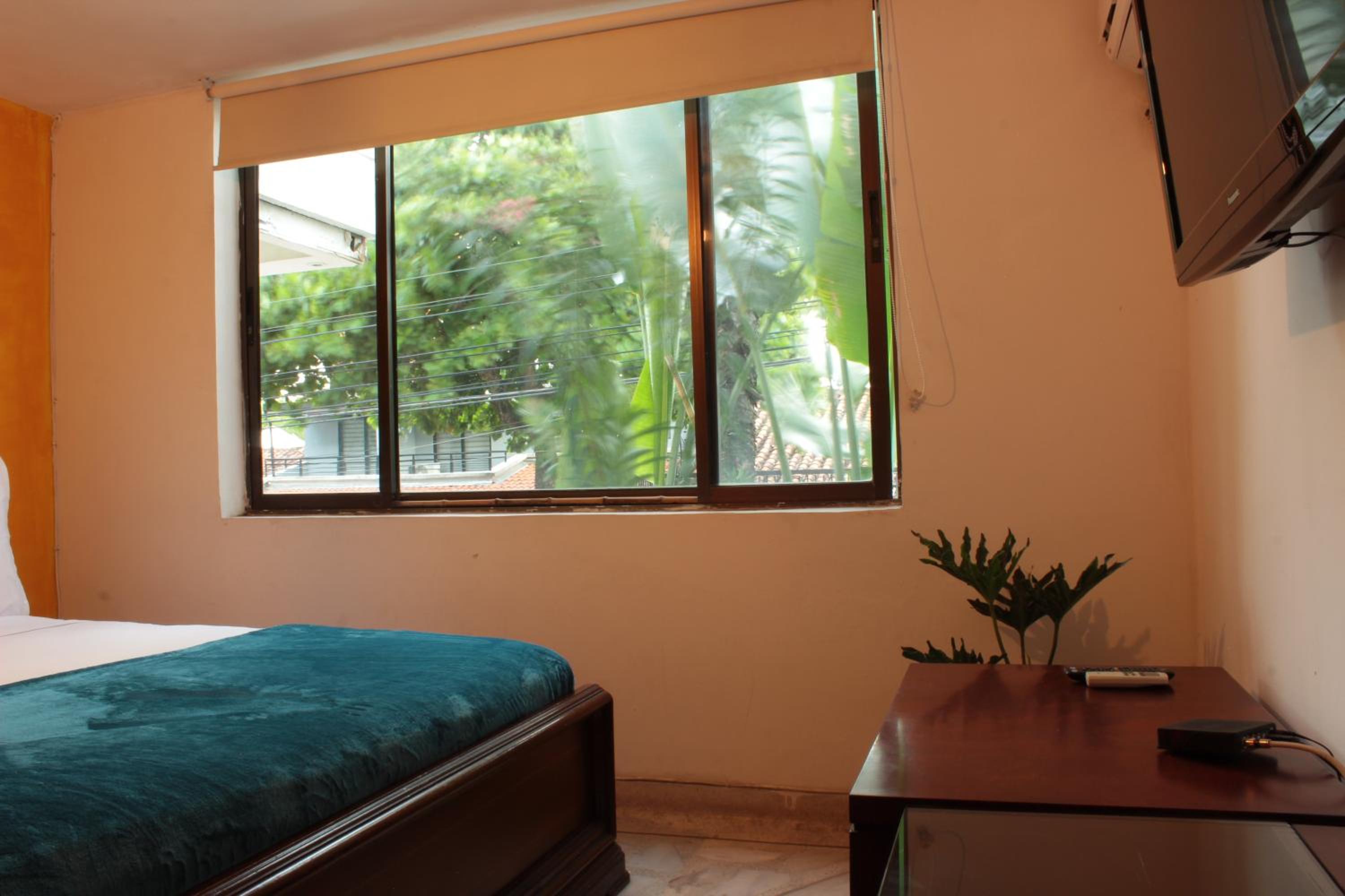 Timeless Oasis Hostel