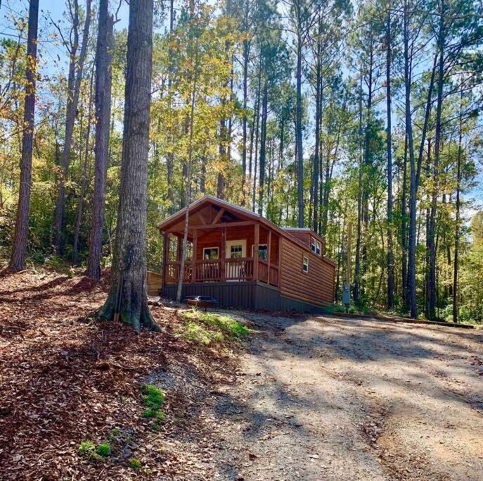Natures Cove Cabin A view 5