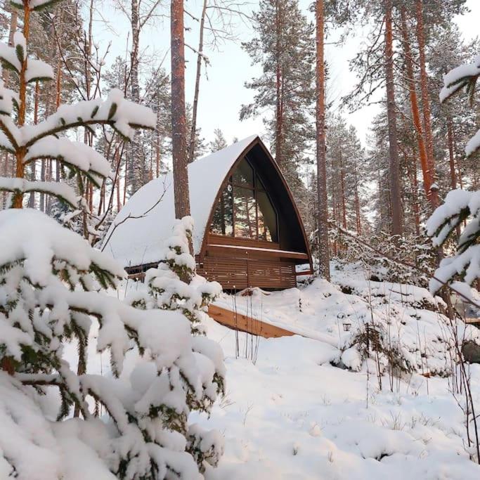 Lumous Forest Hut, Luontovire