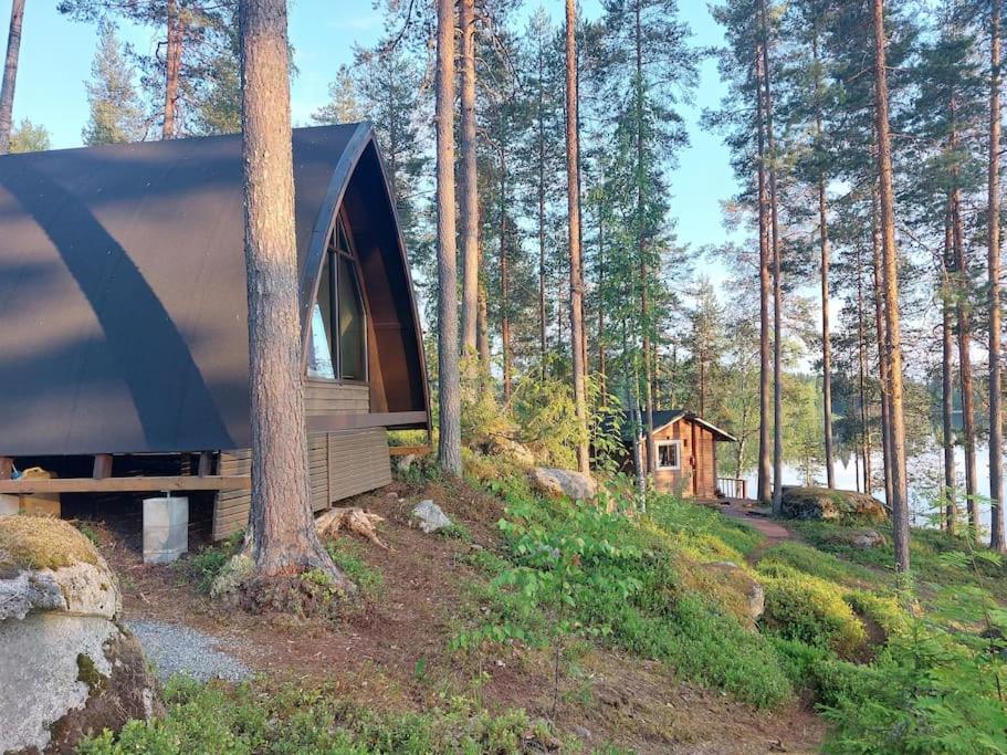 Lumous Forest Hut, Luontovire