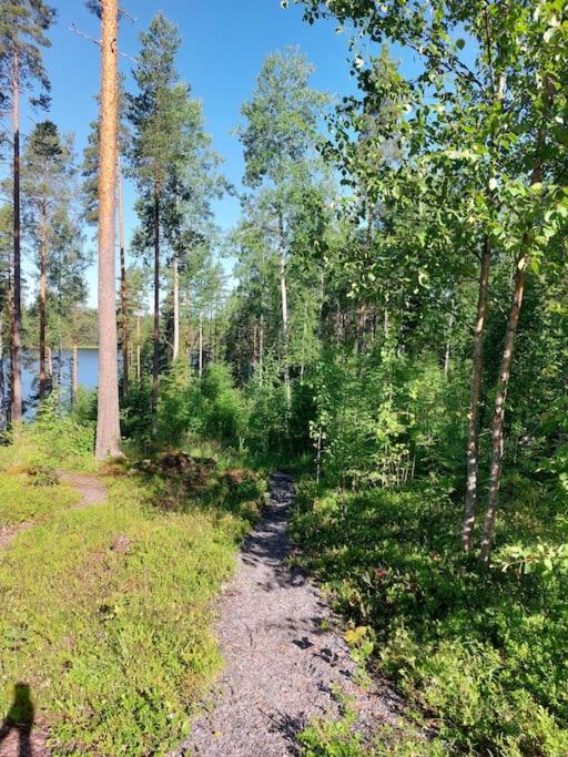 Lumous Forest Hut, Luontovire