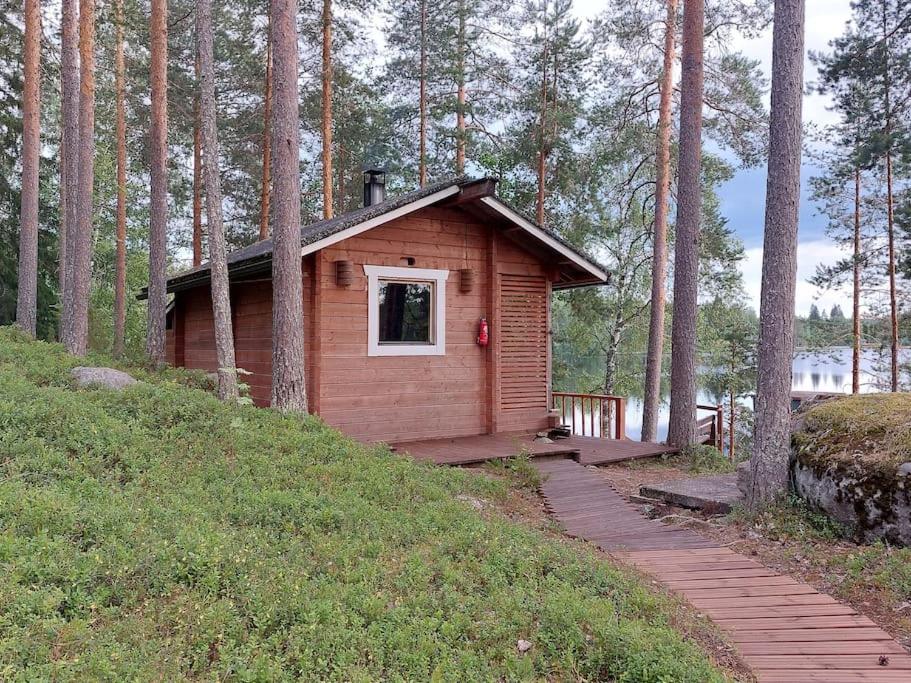 Lumous Forest Hut, Luontovire