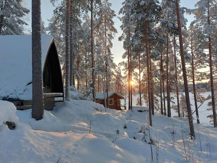 Lumous Forest Hut, Luontovire