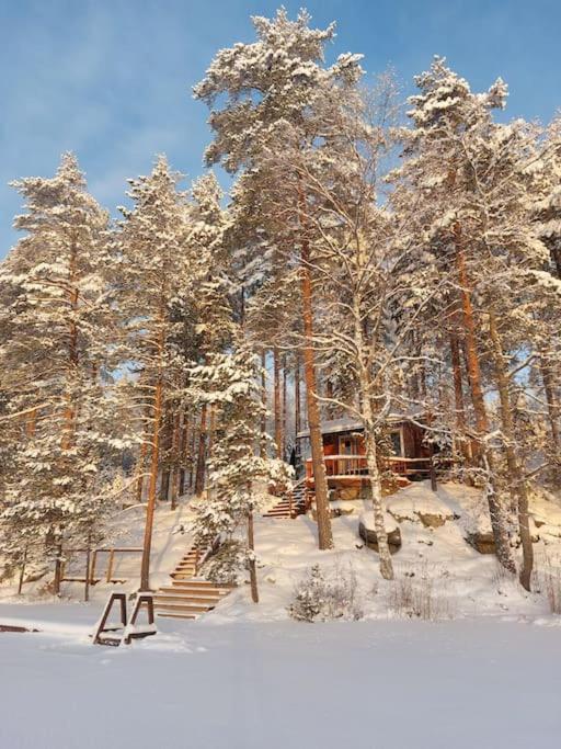 Lumous Forest Hut, Luontovire