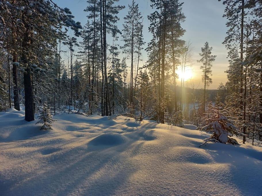 Lumous Forest Hut, Luontovire