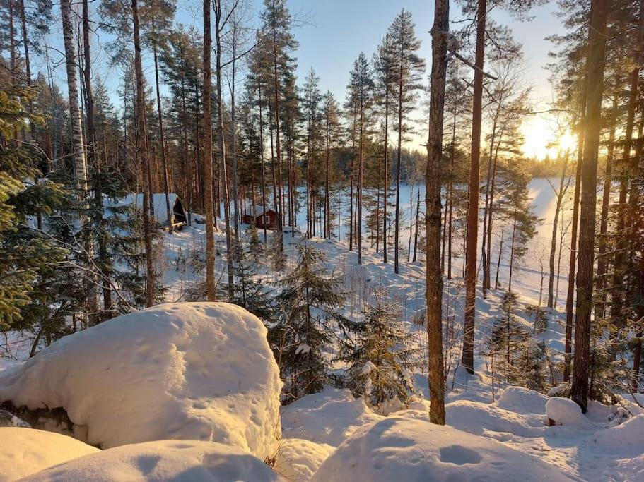 Lumous Forest Hut, Luontovire