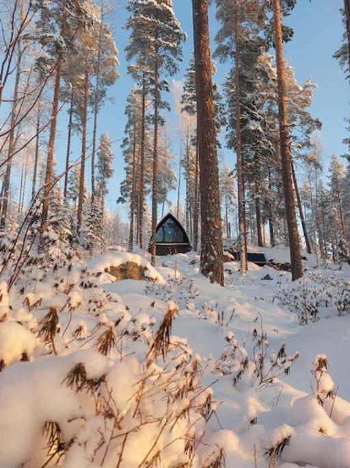 Lumous Forest Hut, Luontovire