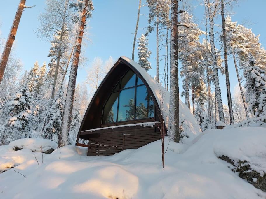 Lumous Forest Hut, Luontovire