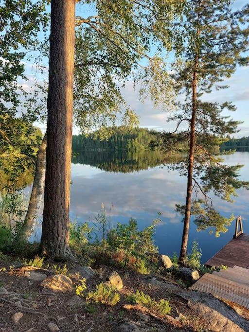 Lumous Forest Hut, Luontovire