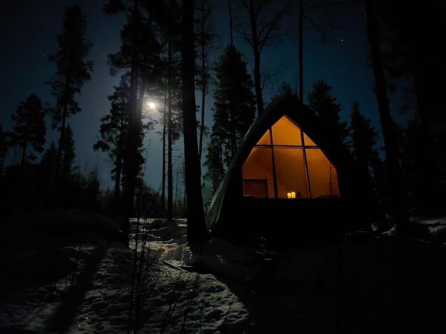 Lumous Forest Hut, Luontovire