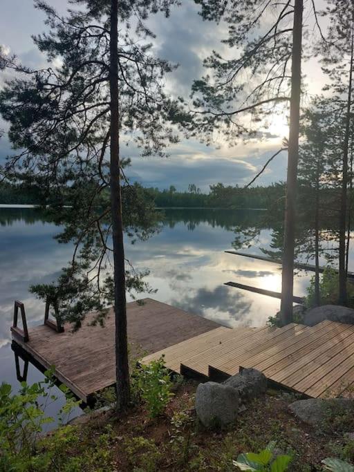 Lumous Forest Hut, Luontovire