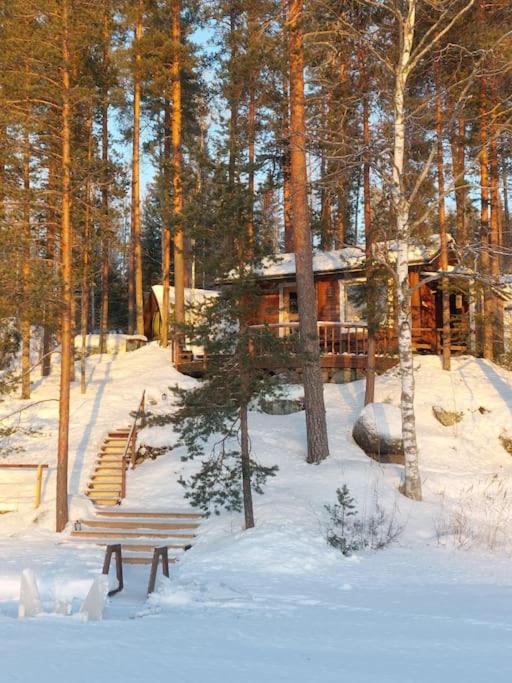 Lumous Forest Hut, Luontovire