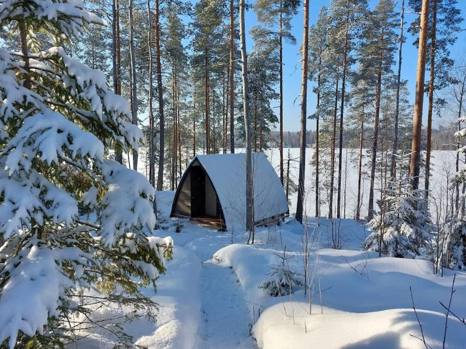 Lumous Forest Hut, Luontovire