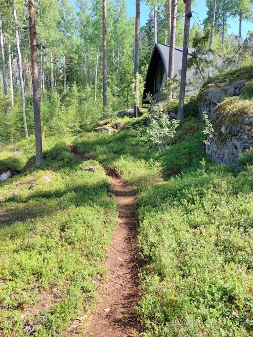 Lumous Forest Hut, Luontovire