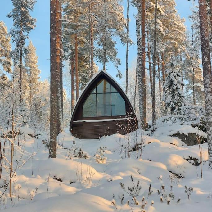 Lumous Forest Hut, Luontovire