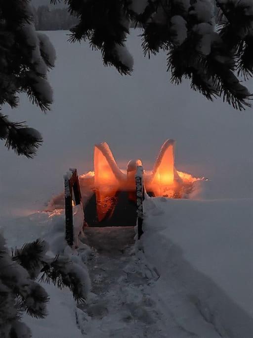 Lumous Forest Hut, Luontovire