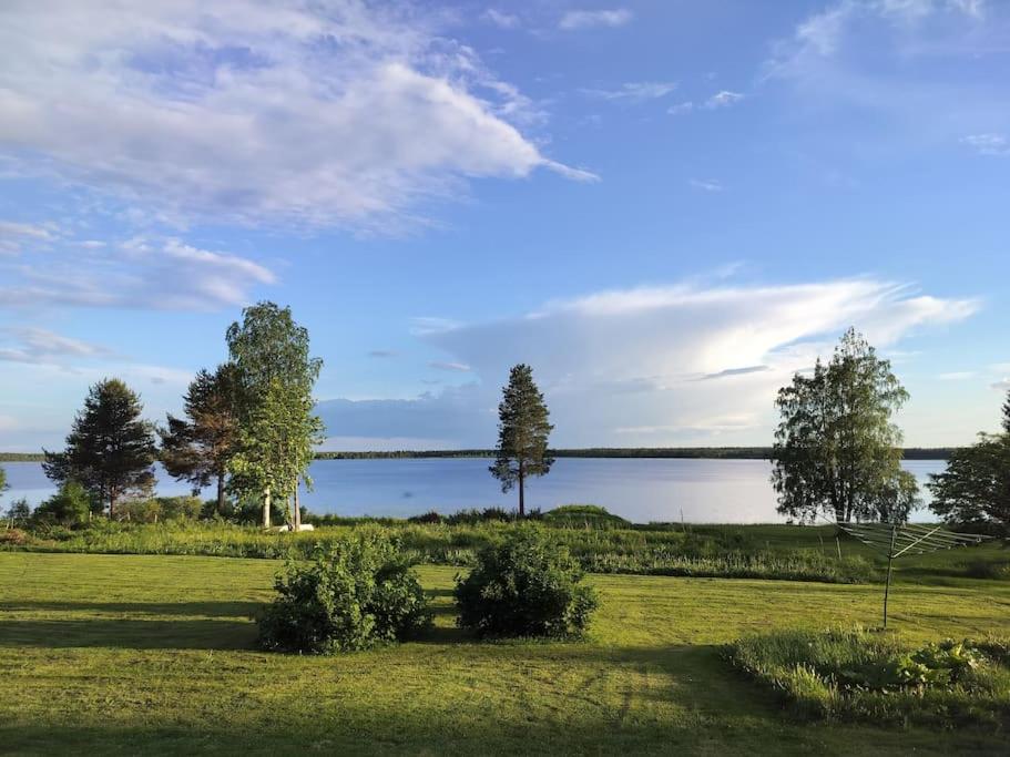 Hirsimökki harjulla