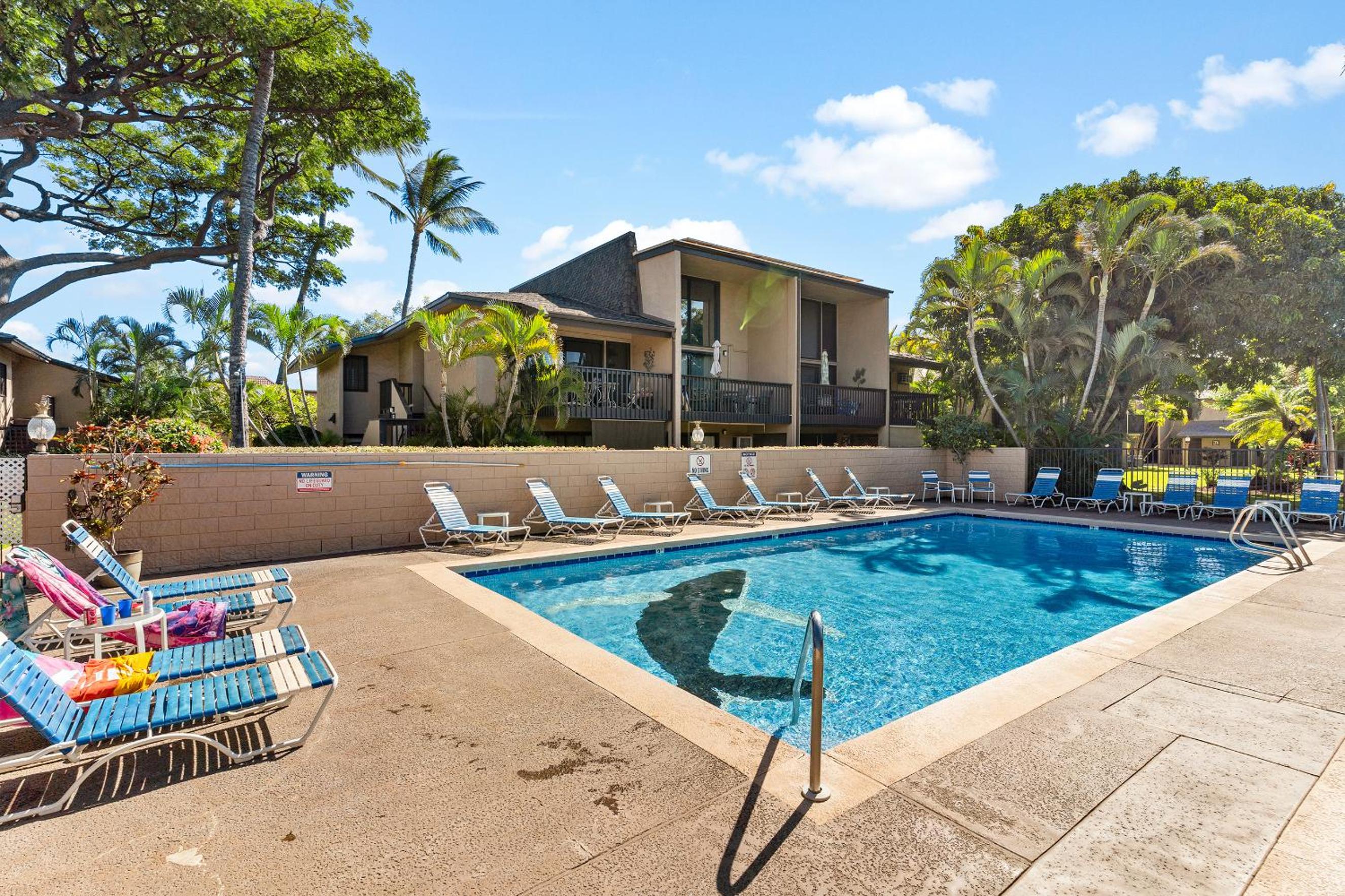 Kihei Garden Estates B-103 - Modern Designer Condo