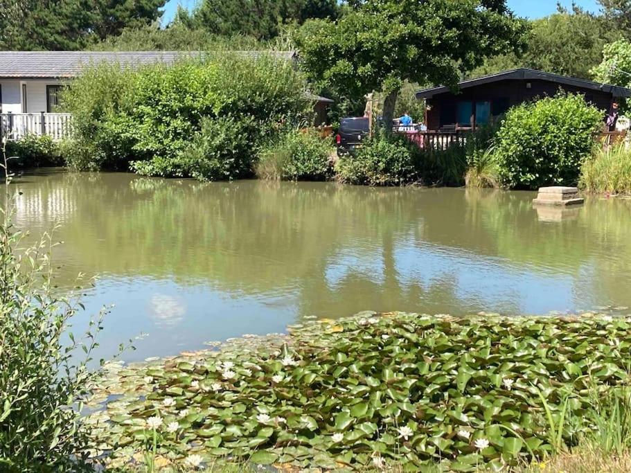 Otters Rest Executive High Spec Lodge Shorefield County Park Lymington New Forest view 3