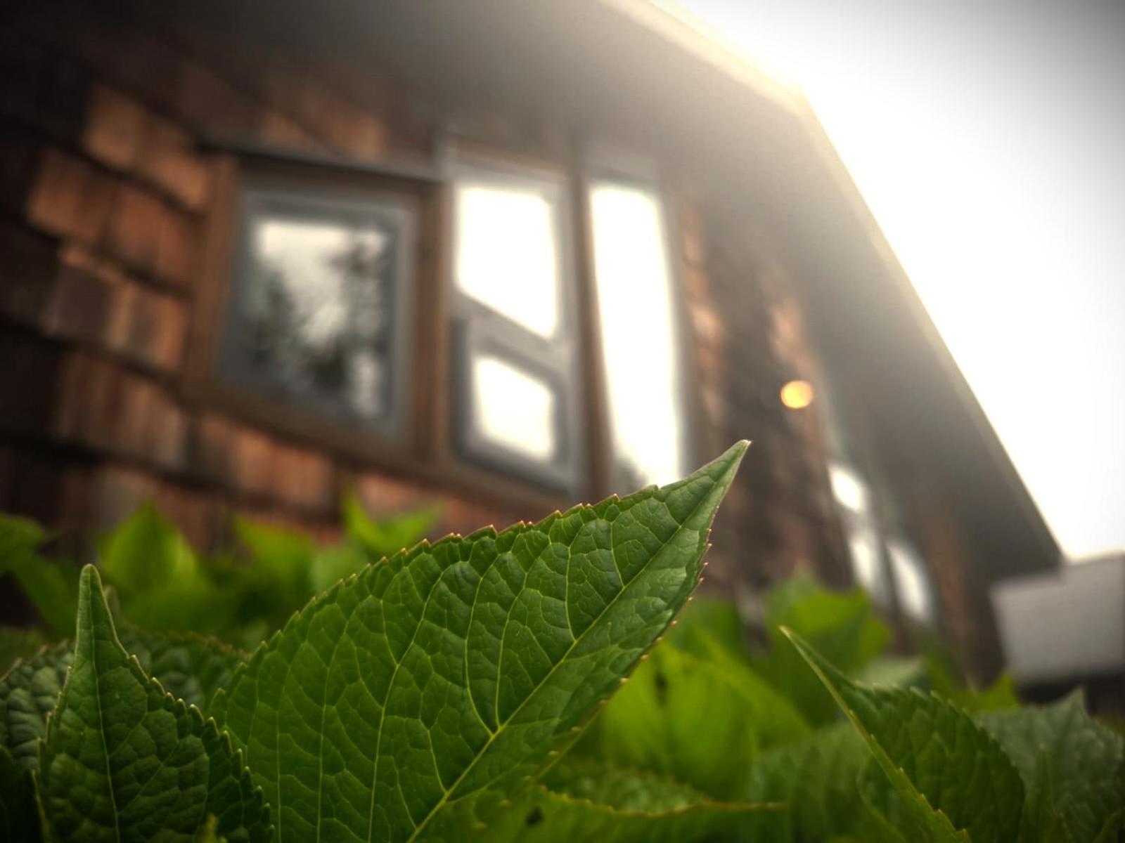 Casa Bauda de Chiloé