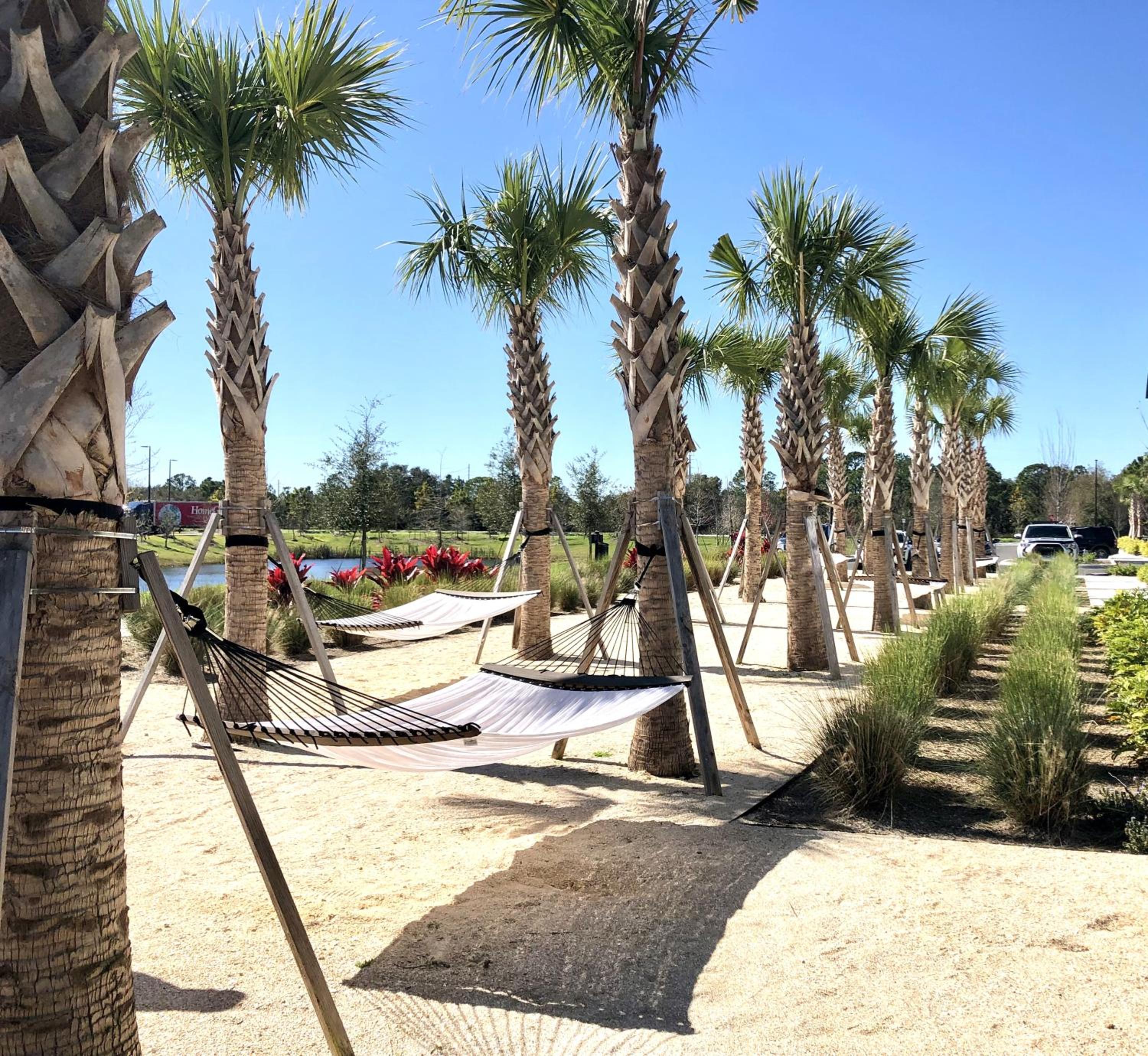Luxury Apartments Near Disney