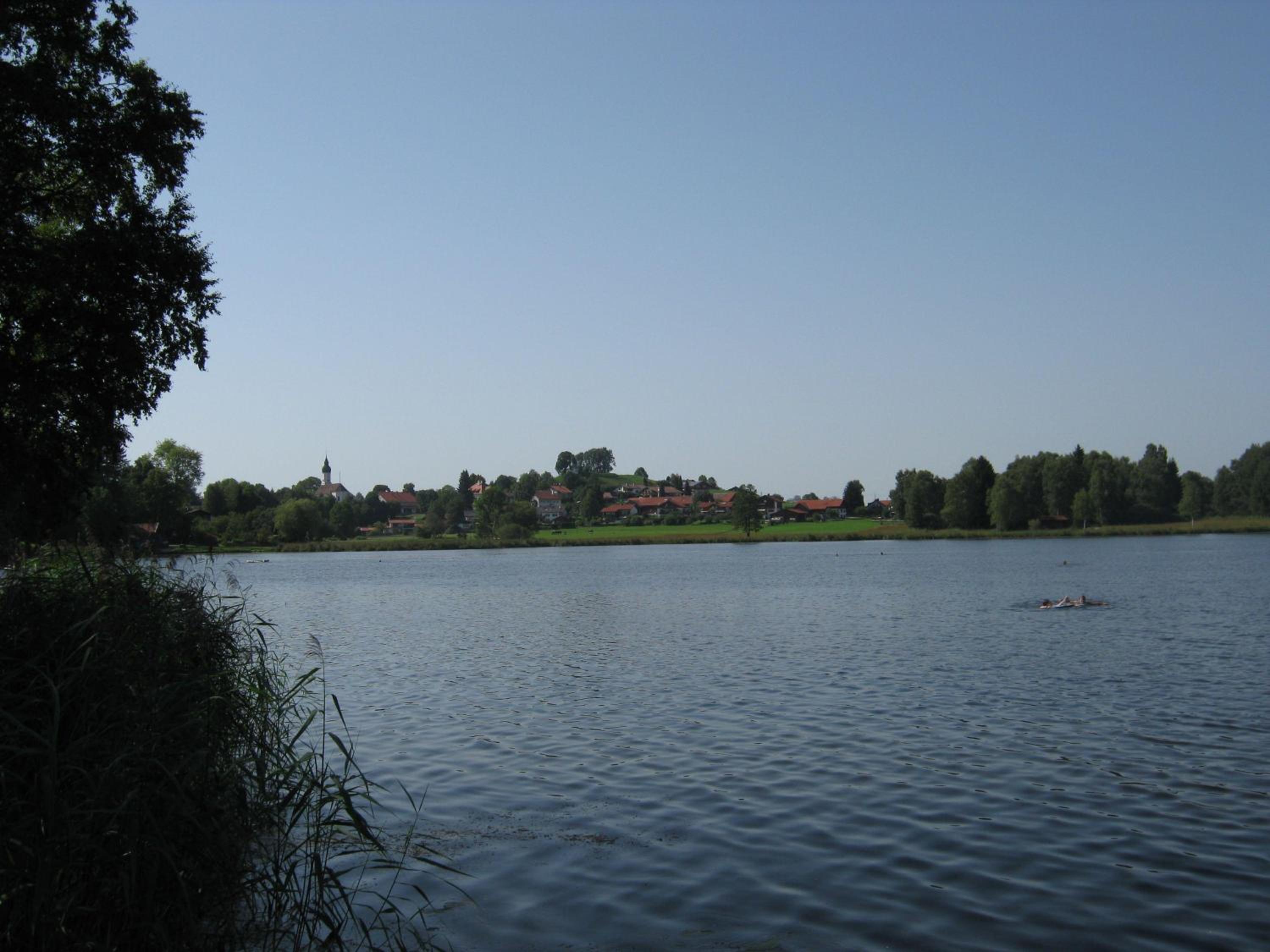 Photo 17