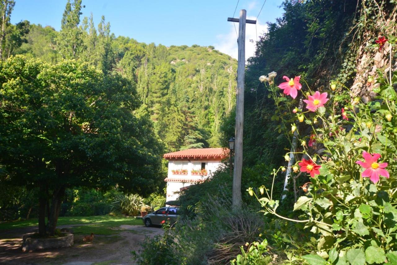 depto rodeado de naturaleza