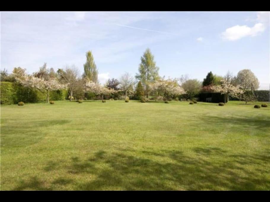 Photo 22