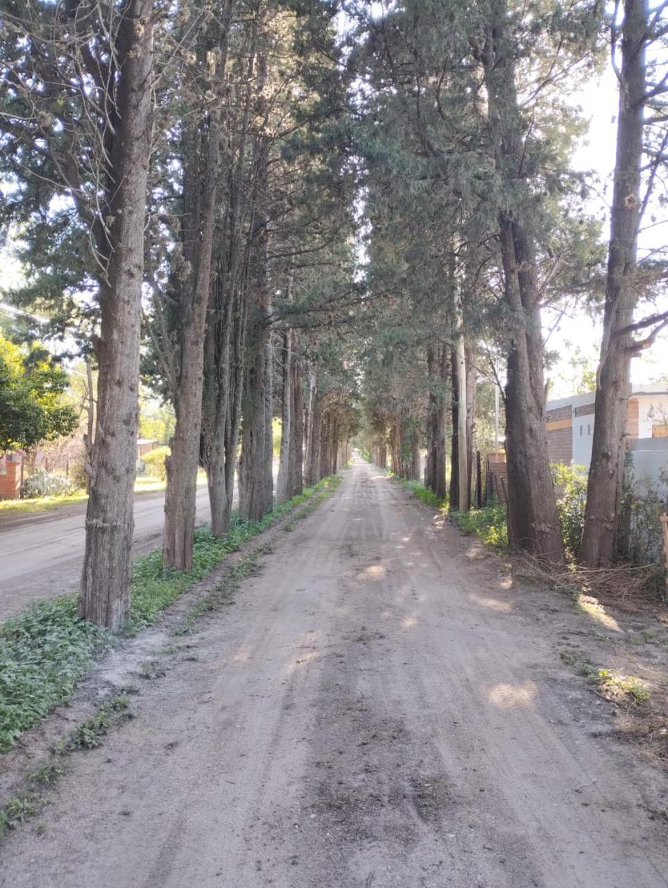 Los Pinos