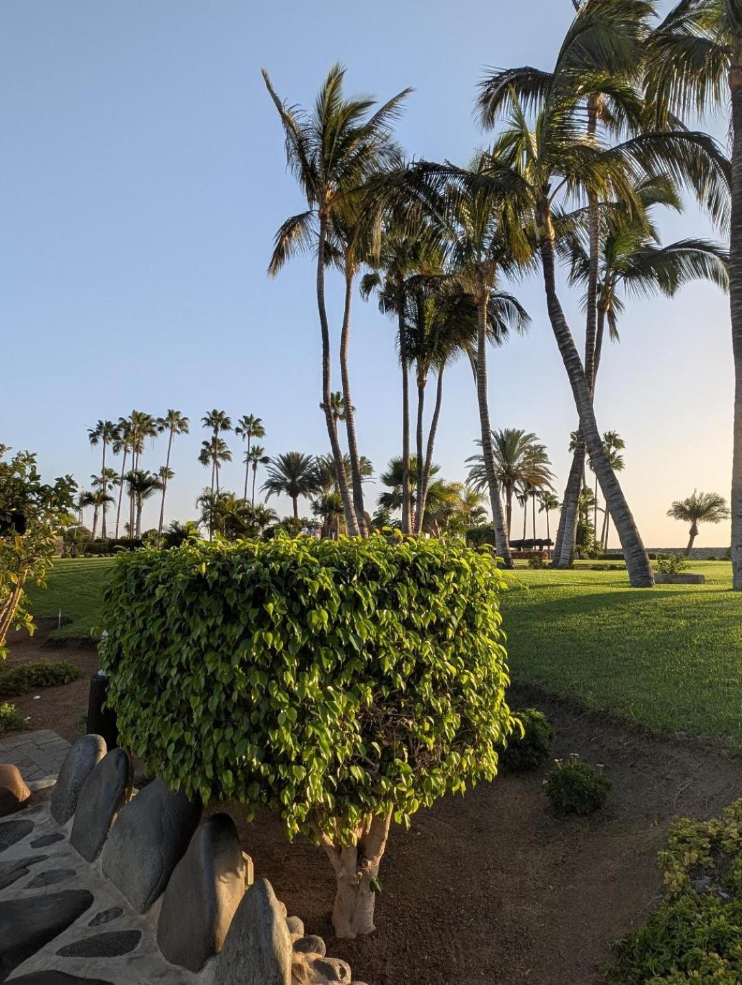 Sonido del mar Gran Canaria - Montemarina - luxury panoramic view