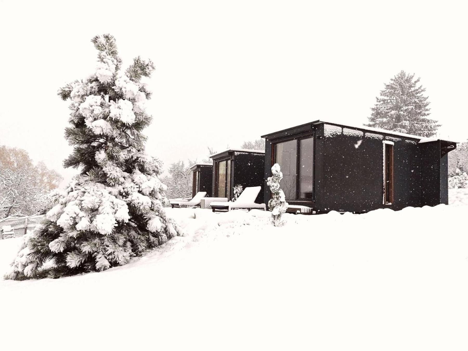 Casa Slarku - Luxury Container Houses view 4