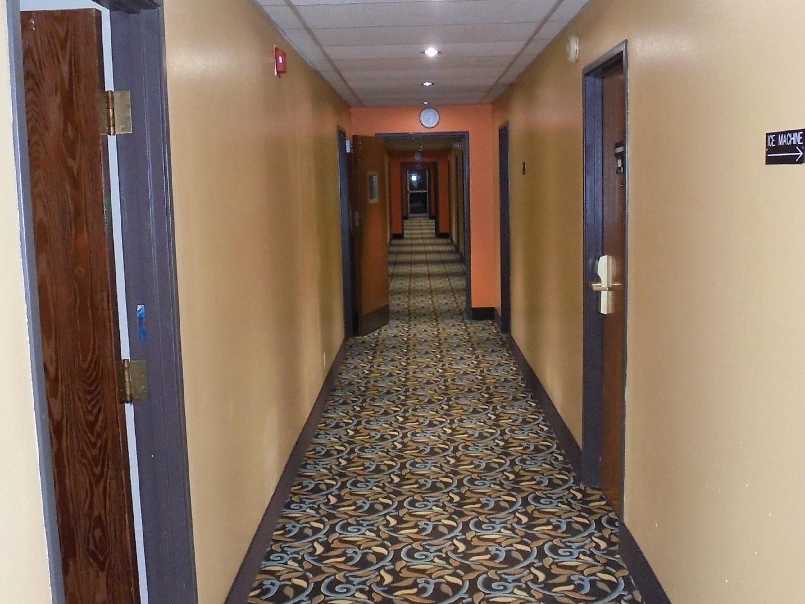 Photo 22