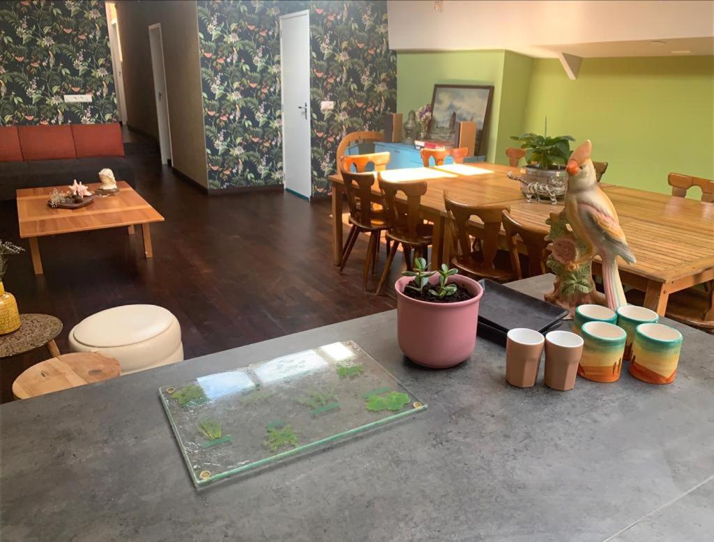 Hotelschip Amsterdam City, in de zomer én de winter! photo 2