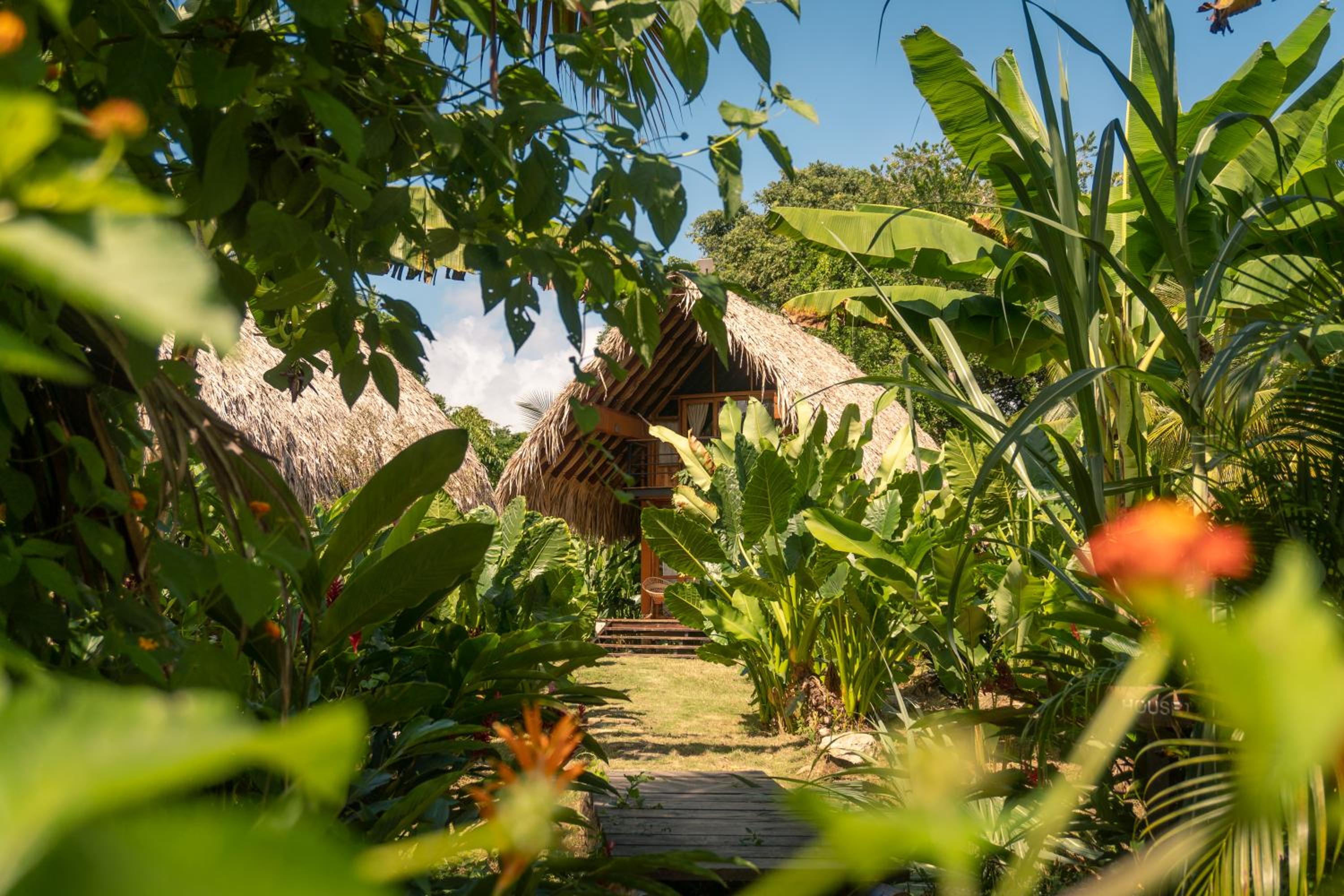 Cabañas con Jacuzzi, Tayrona vía Palomino - Villa Puy