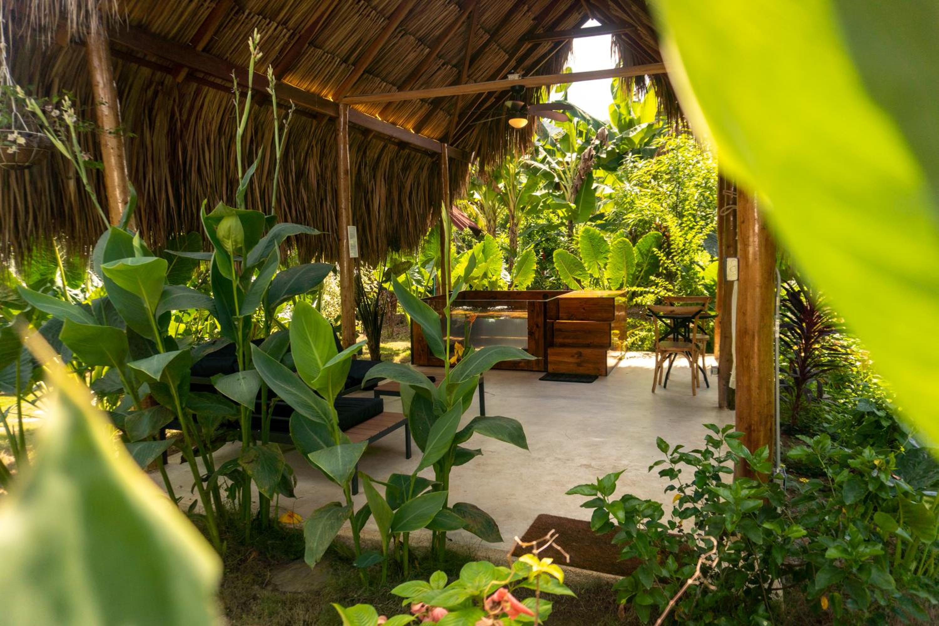 Cabañas con Jacuzzi, Tayrona vía Palomino - Villa Puy
