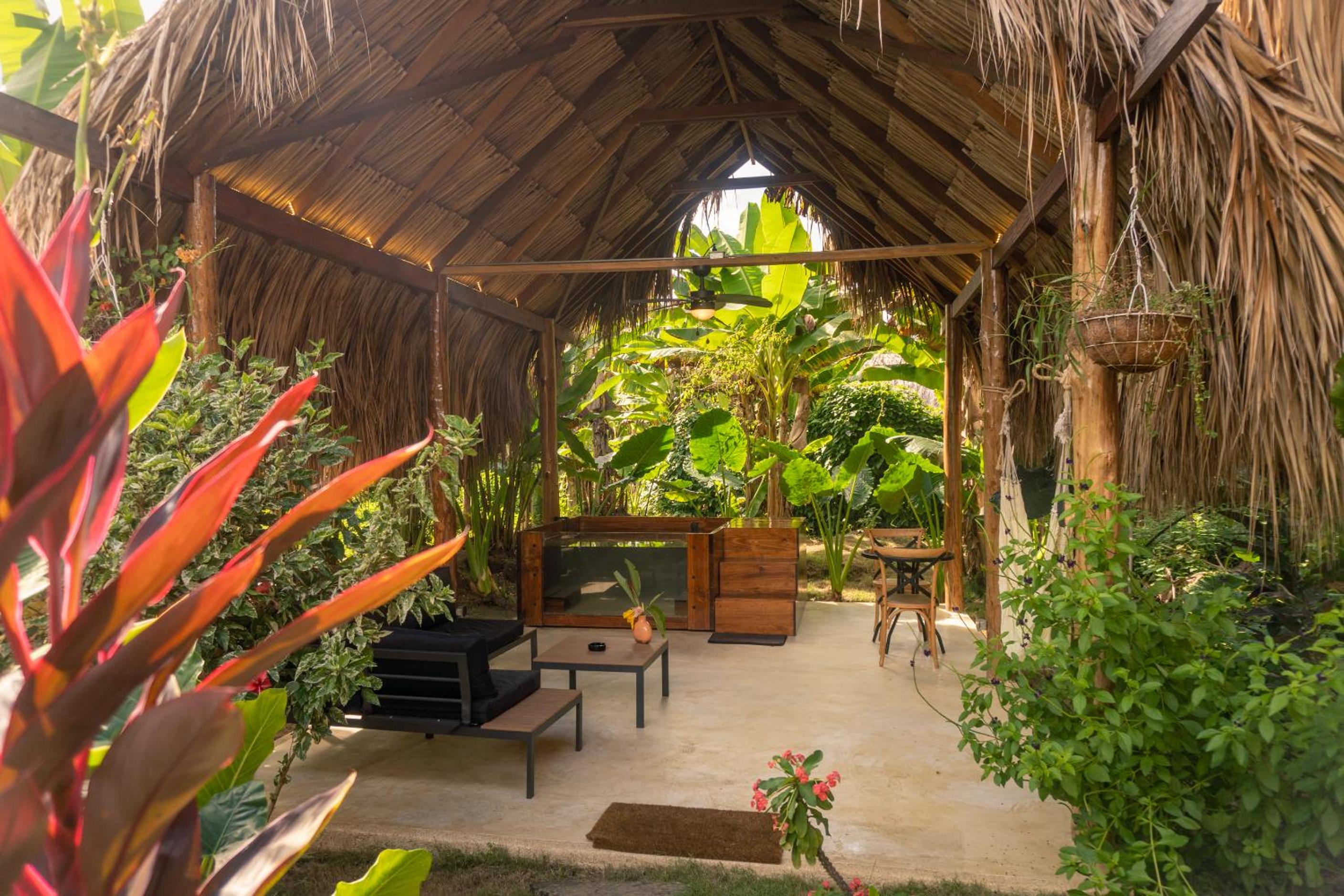 Cabañas con Jacuzzi, Tayrona vía Palomino - Villa Puy