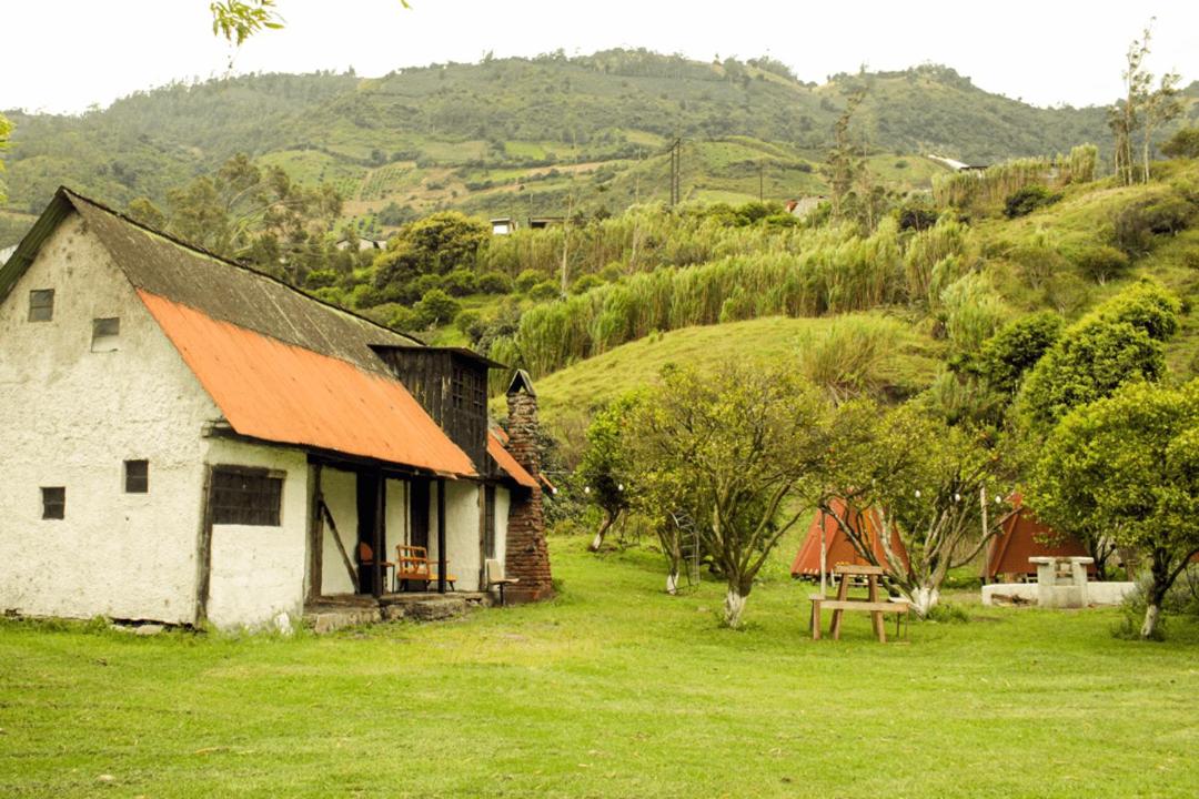 Natural Garden Glamping