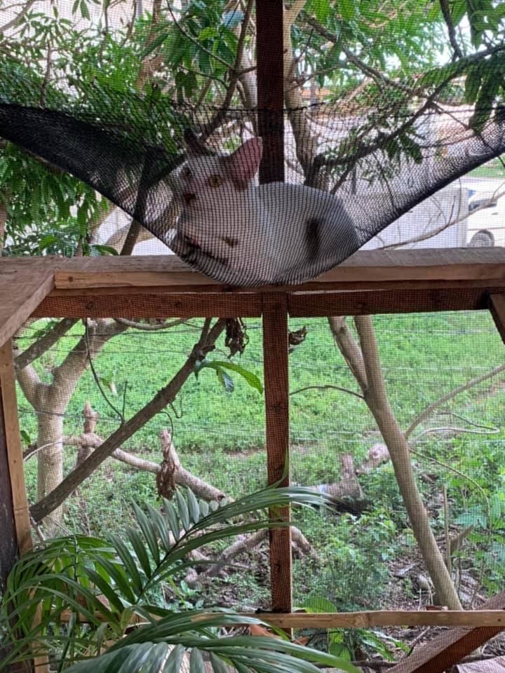other