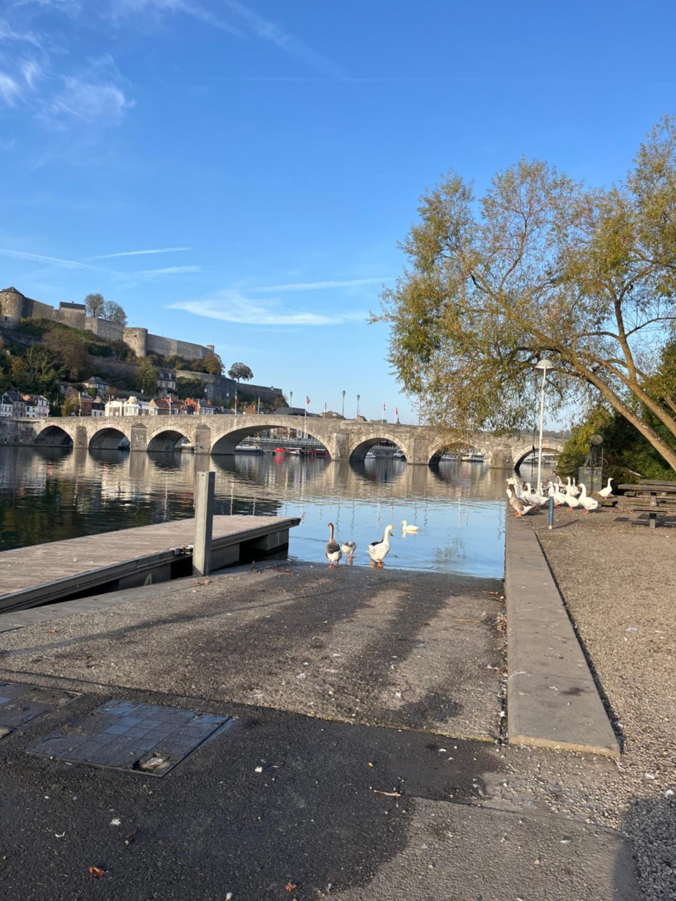 Studio renové rdc terrasse wépion (Namur)