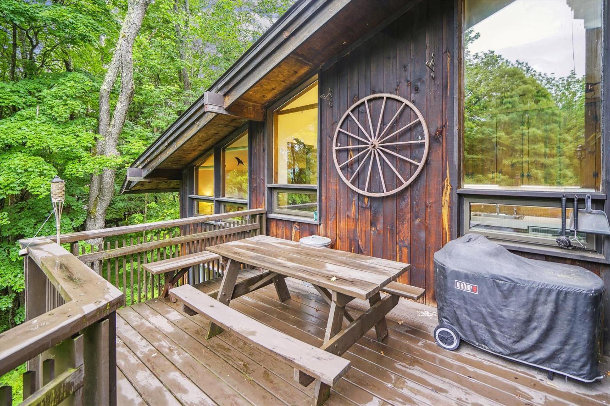 Perfect secluded 3 bedroom cozy getaway home Hawk Landing