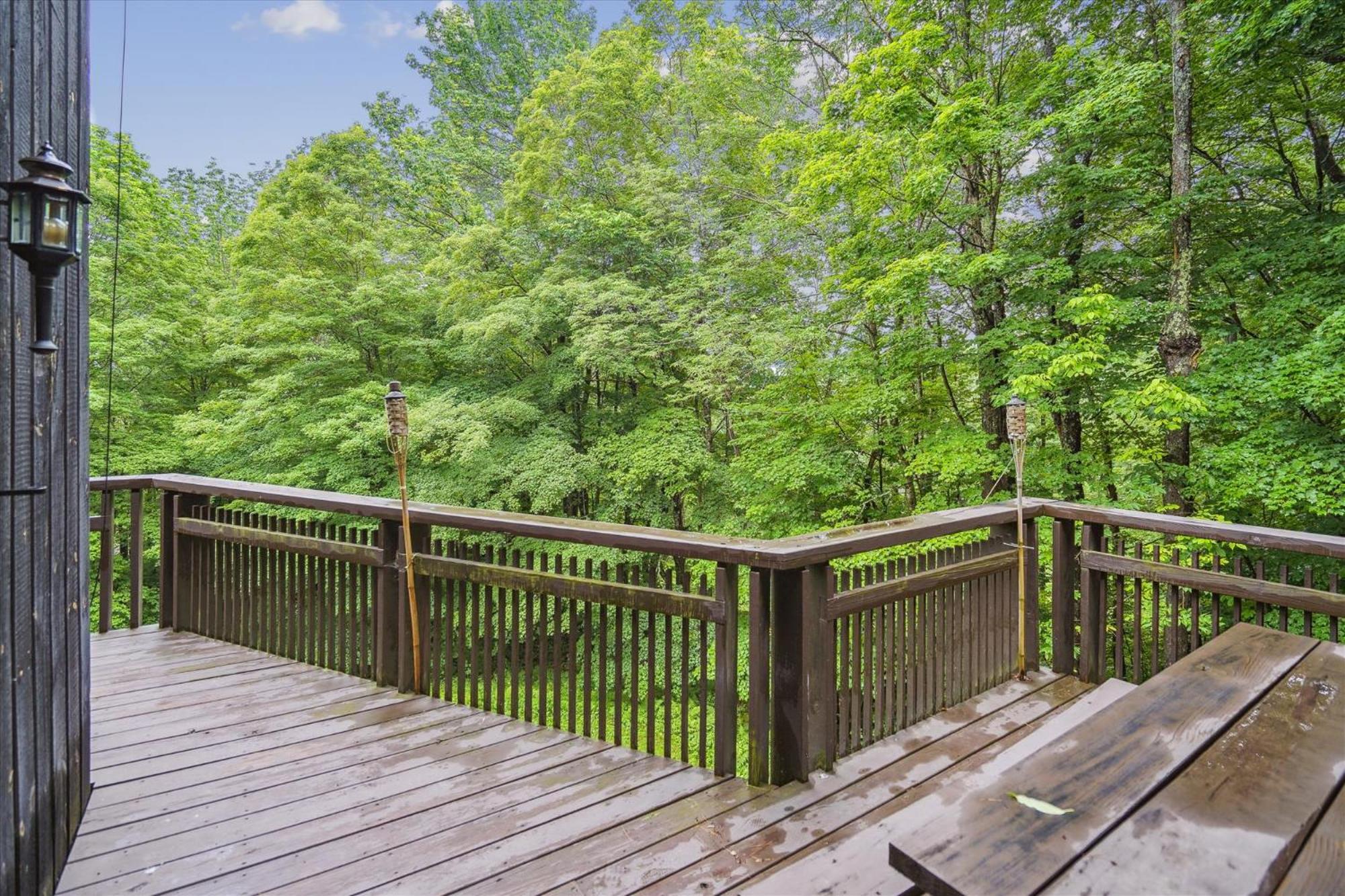 Perfect secluded 3 bedroom cozy getaway home Hawk Landing