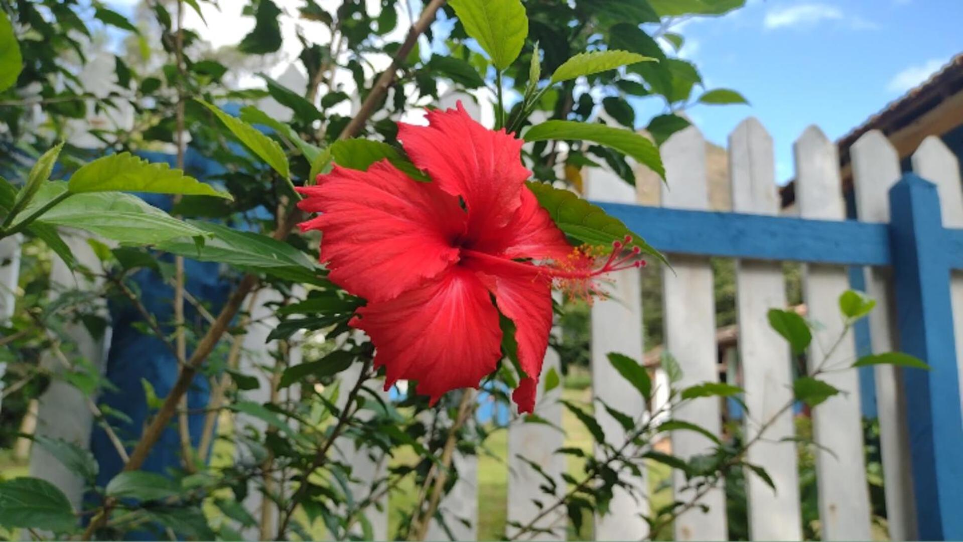 Chalé Trilha do Tatú