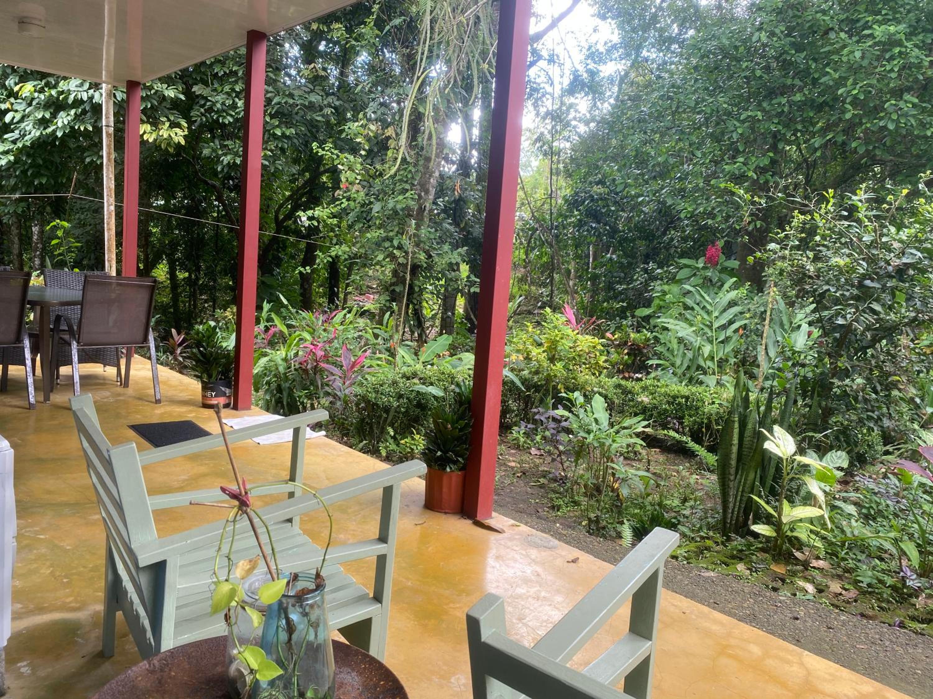Studio Puro Zen at the National Park edge