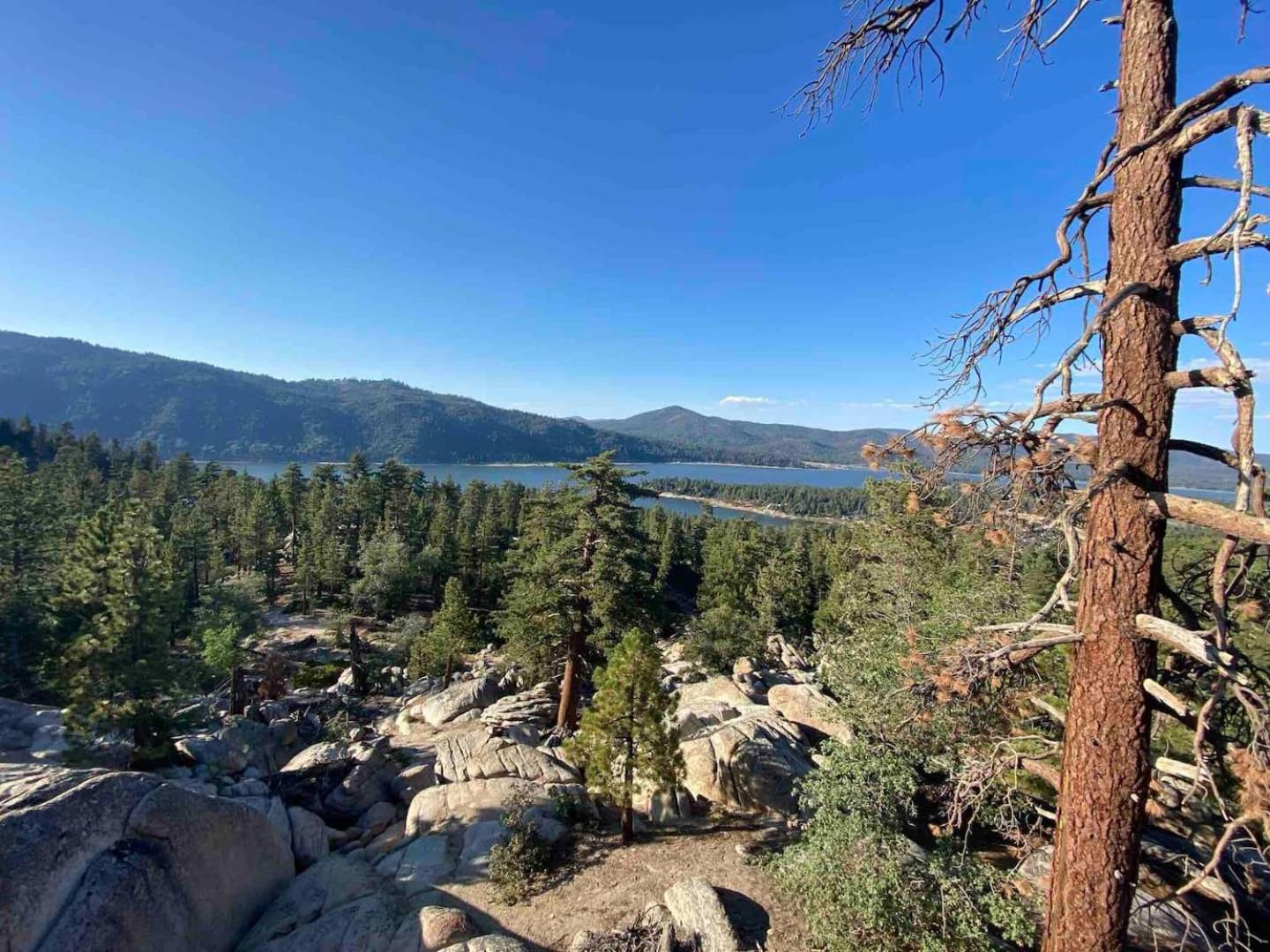 other