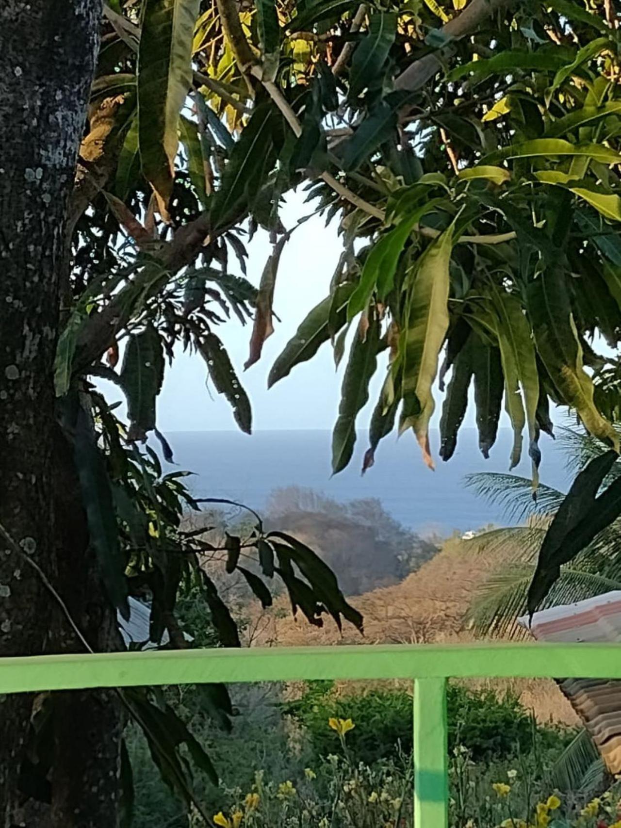 Palhoça da Colina