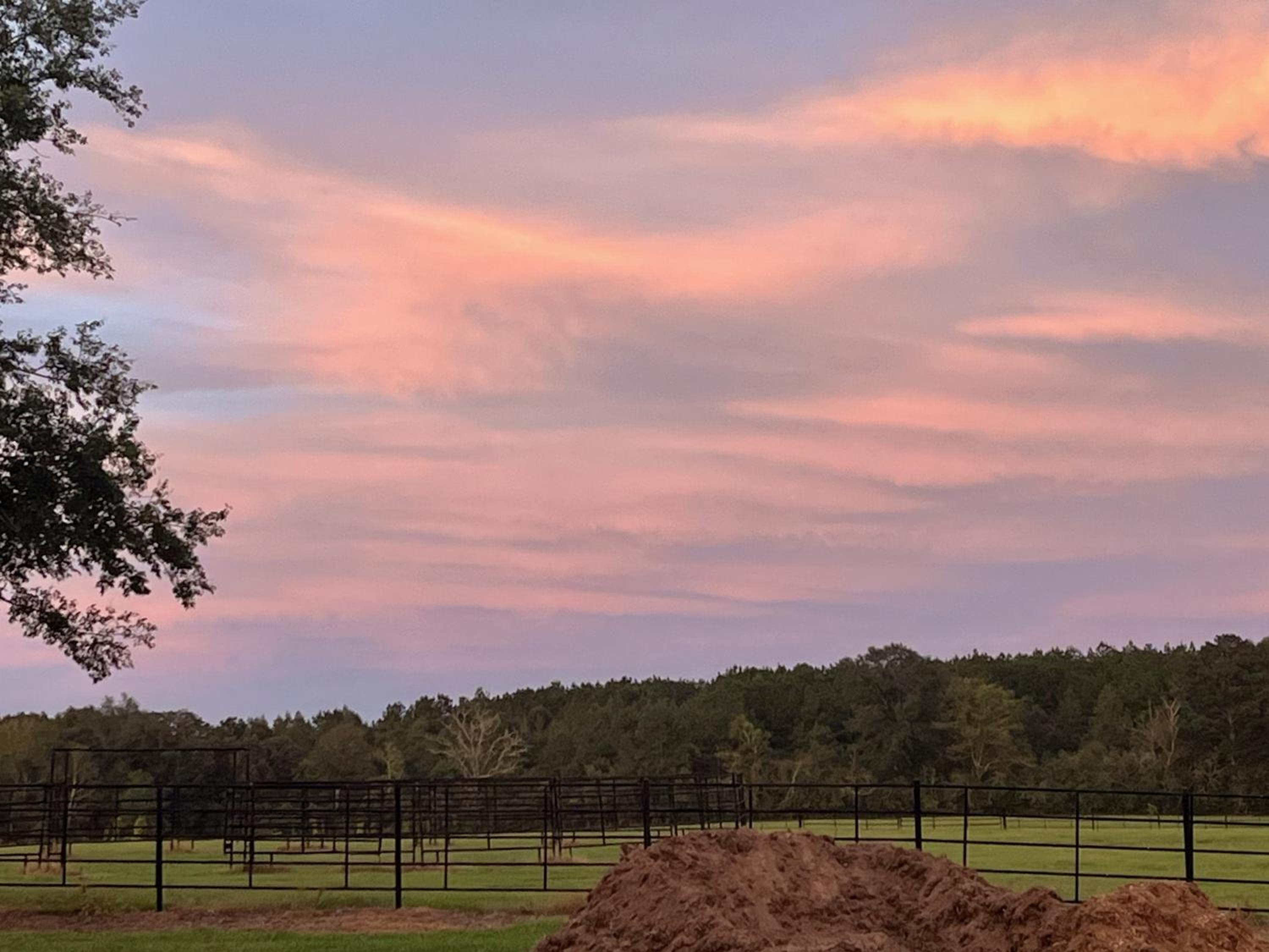 Historic Barn in Mississippi Equestrian Getaway!