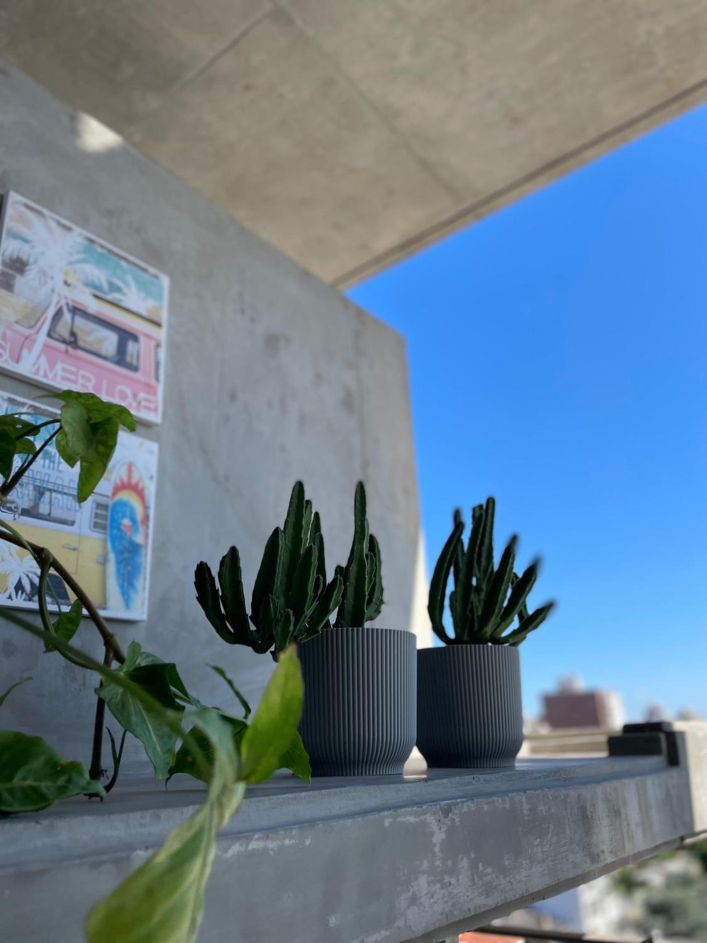 Rosario SJ Loft